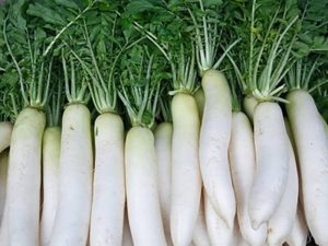 Mơ Thấy Củ Cải