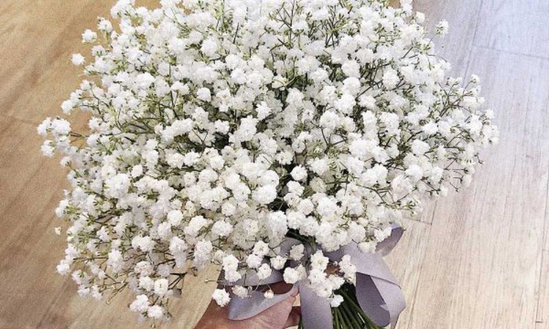 Các trường hợp đặc biệt mơ thấy hoa màu trắng